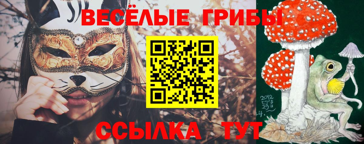 Отрадный  купить   Вход с VPN  Галлюциногенные грибы мухоморы 